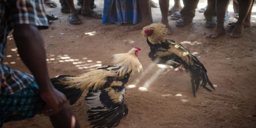 Bí Quyết Chinh Phục Cược Thủ Cùng Uk88 Trong Mỗi Ngày